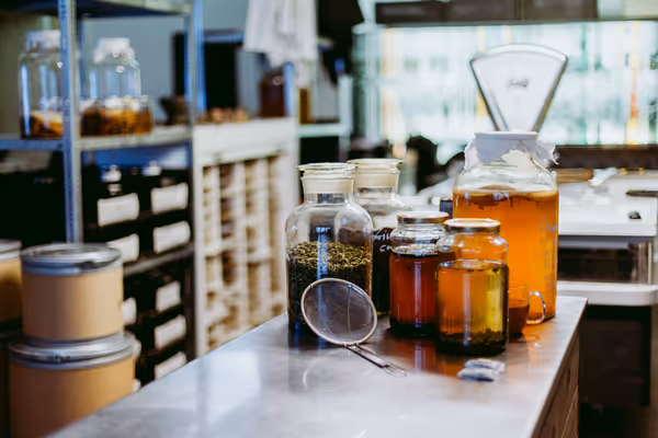 Kombucha in jars of various sizes on a counter.